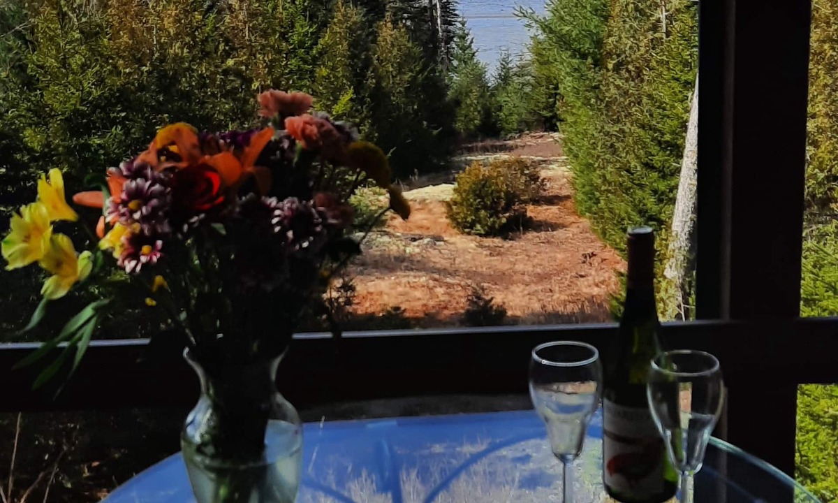 Gouldsboro Cottage | TreeTops shorefront 3 story cottage/views. Schoodic & Acadia NP nearby. Kayaks!