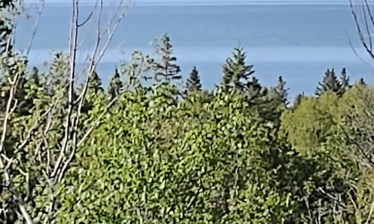 St Ignace Apartment | UP Mackinac Straits View Charming corporate apartment with WiFi by Saint Ignace.