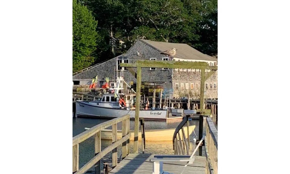 New Harbor Cottage | Vintage cabin perched on edge of harbor with dock