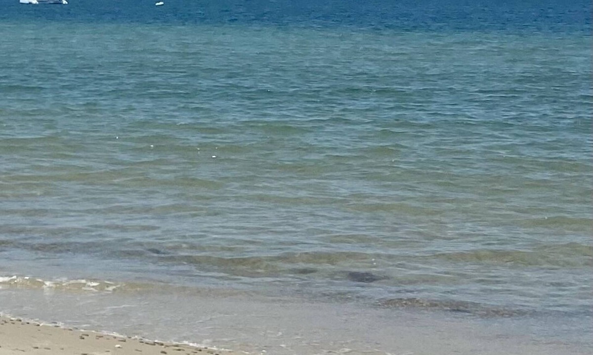 West Tisbury House | West Tisbury home Walk to Beach and Pond