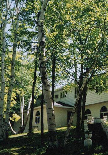 Sturgeon Bay Hotel | White Birch Inn