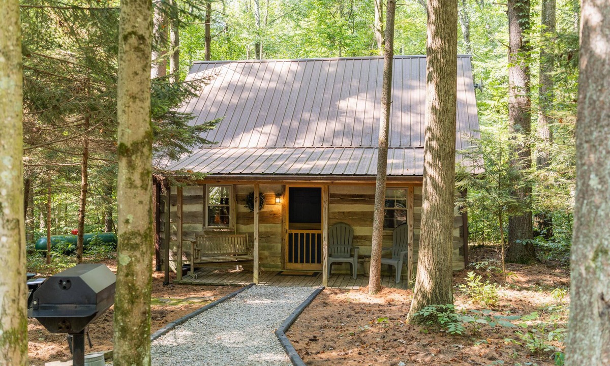 Laurelville Cabin | Woodland view-Blue Log Cabin