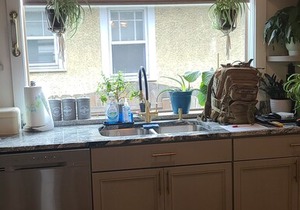 3-bedroom pet friendly bungalow near downtown indy