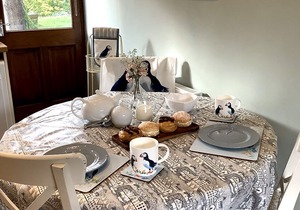 Hidden Gem Award Winner 2018, Cottage in Alnmouth garden, bike shed, & parking