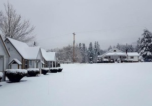Riverbank Motel and Cabins