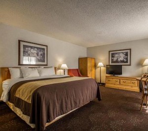 Comfort Inn 