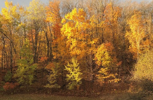 Boyne Falls Resort | 💕🌼🌸 1 bedroom 1 bath suite at Boyne Mountain 2 nights.
