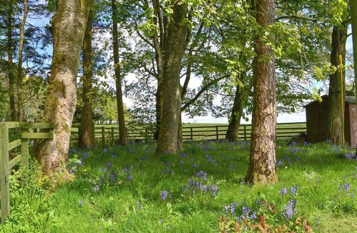 Brampton Cottage | 1 bedroom accommodation in Haltwhistle