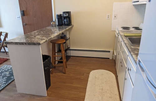 River Rouge Apartment | 1-bedroom apartment close to Detroit & Expressways. Washer/Dryer.