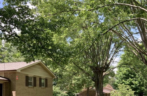 Portland House | 10 minutes from Mist Casino and 45 minutes from downtown Nashville