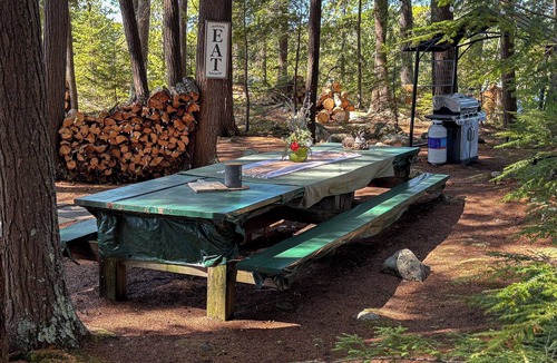 Naples Cabin | 100% Private Island on Long Lake. Great for families or a group-pet friendly.