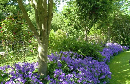 Lofthouse Cottage | 2 bedroom accommodation in Near Masham