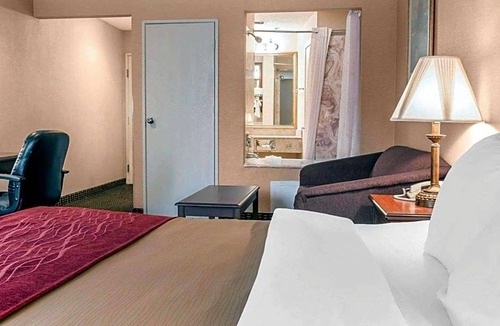 Livonia Hotel | 2-Star Hotel ∙ Comfort Inn of Livonia