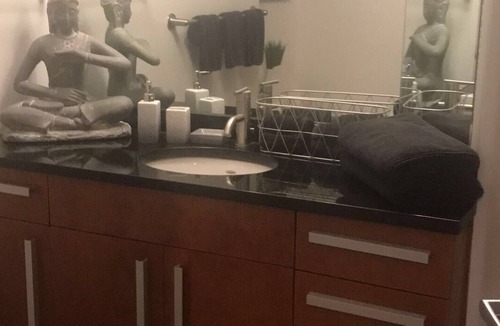 Downtown St. Louis Apartment | 2bed2bath,pool,gym downtown loft w/car rental