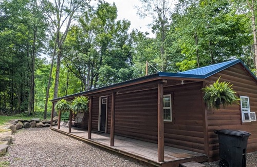 Centerville Cabin | 2BR Woods Cabin Fast WiFi & Fire PIt Getaway
