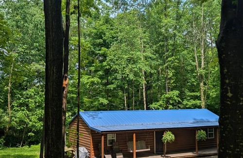 Centerville Cabin | 2BR Woods Cabin Fast WiFi & Fire PIt Getaway