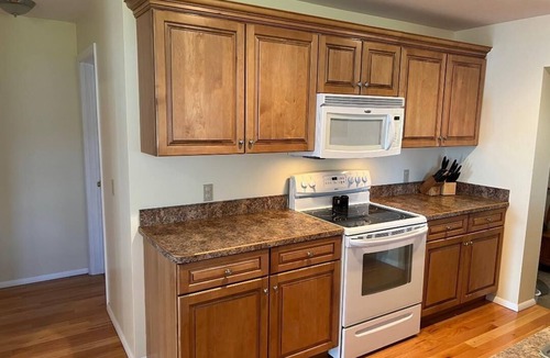 Oscoda House | 3 Full Homes & Game Room-Waterfront Private Retreat on 200 ft. of Van Etten Lake