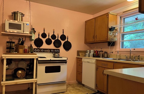 Williamsport House | 4 bed 2 bath Mid century modern in Vallamont, 10 mins from Lamade Stadium.