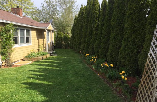 Provincetown House | 5 bed , Central location, Sleeps 5-10 , Parking, Laundry, Privacy, Quiet. AC