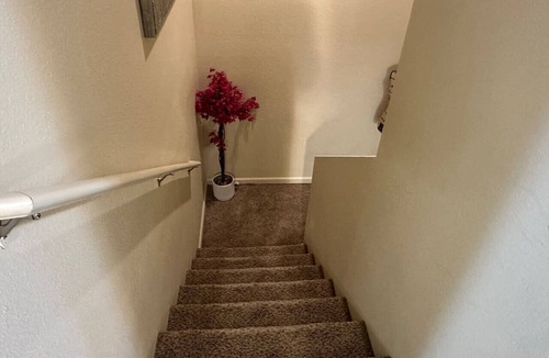 Williston House | 713 Section 1 luxury townhouse