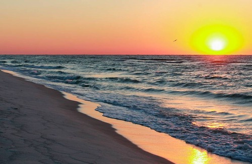 Seagrove Beach Apartment | 96 m² Apartment ∙ 3 bedrooms ∙ 8 guests