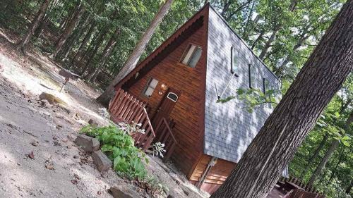 Eckerty House | A-Frame Cabin #6 with Hot Tub on Patoka Lake in Southern Indiana