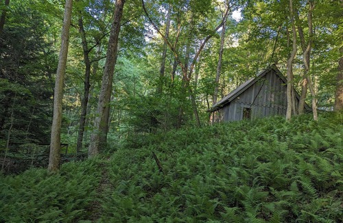 Laurelville Cabin | A secluded couples retreat set in a mature forest in the beautiful Hocking Hills