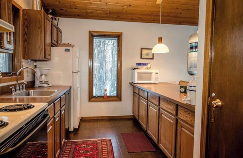 Bessemer Ski Chalet | A Spacious Vacation Home in a Wooded Setting With A Brick Fireplace