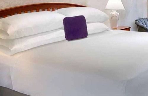 Fairview Hotel | Affordability Meets Comfort at Knights Inn Fairview! Pet-friendly Property