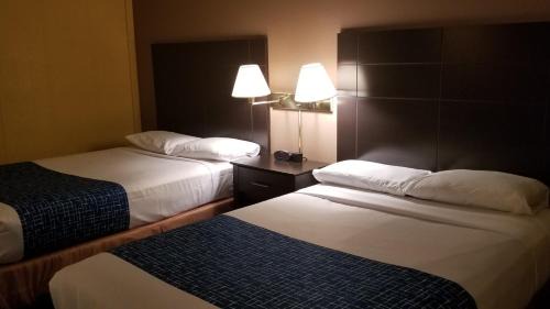 Park River Hotel | Alexander House Motel