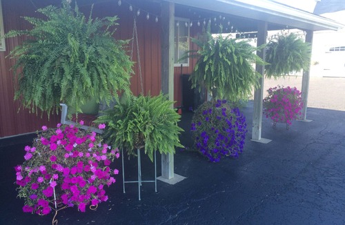 Millersburg Apartment | Amish Country 1 mile to downtown Berlin