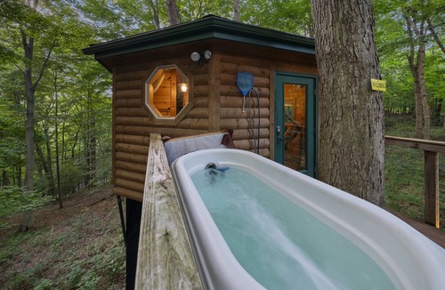 Logan Cabin | Among the Trees - The Nest