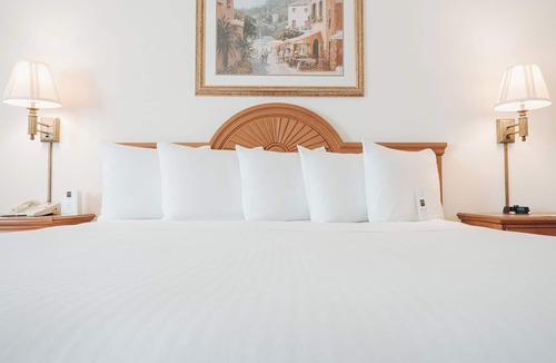Ann Arbor Hotel | Ann Arbor Regent Hotel & Suites