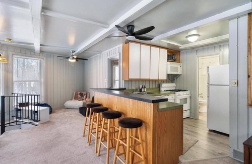 Harbor Springs House | Apres Chalet- Perfect Ski Getaway at Nubs Nob!