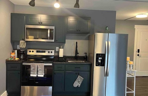 Bellefontaine Apartment | Arctic Inspired 1BR Flat - Downtown Bellefontaine