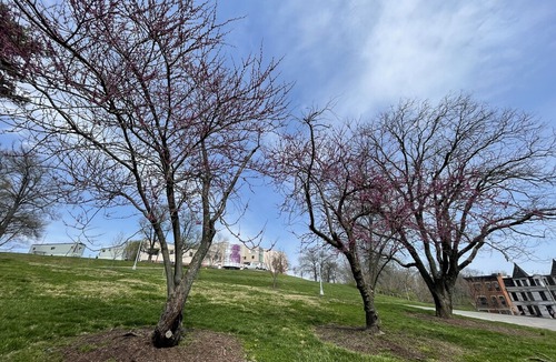 Mount Adams House | Beautiful Brownstone Across from Eden Park!