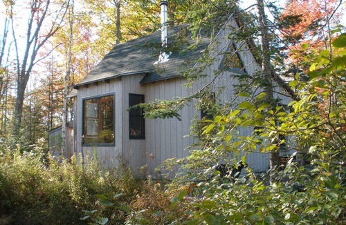 Lamoine Beach Cottage | Beautiful cottage in the woods, quiet, close to beach and State Park