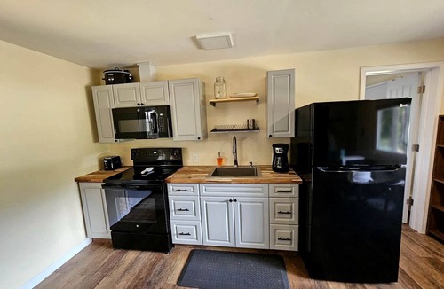 Wellston Cottage | Beautiful Cottage Nestled Amidst Trees in Wellston, Michigan