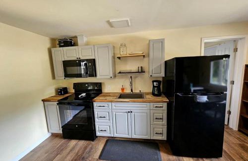 Wellston House | Beautiful Cottage Nestled Amidst Trees in Wellston, Michigan