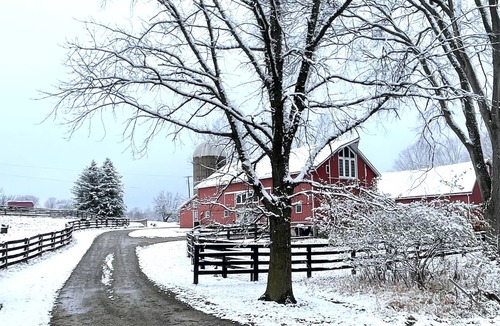 Metamora House | Beautifully Restored Five Bedroom 1860 Barn