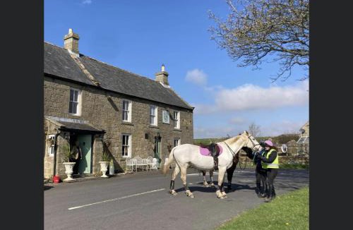 Elsdon Hotel | Bird In Bush Elsdon