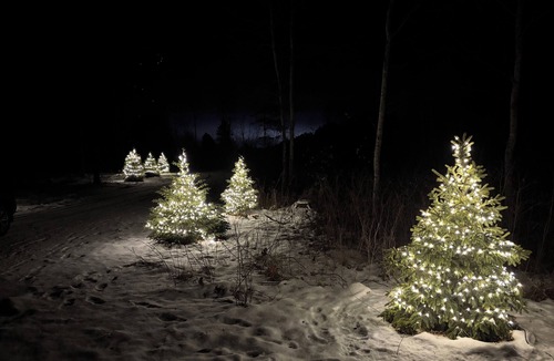 Hayward Cabin | Birkie Haven - an exceptional vacation home experience !