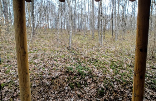 McArthur Cabin | Black Bear Retreat in Hocking Hills minutes from ash cave