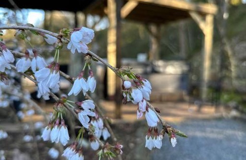 Kirtlebridge House | Bonshaw Grange-Riverside Country Retreat, & HotTub