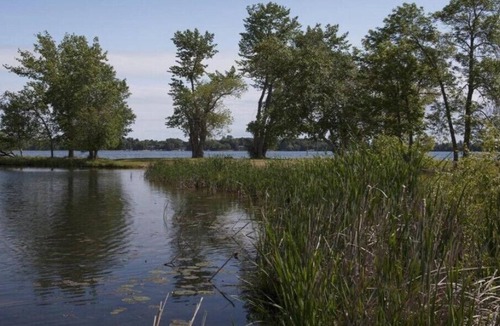 Breezy Point Resort | Breezy Point - 1 Bedroom W/ Kitchen