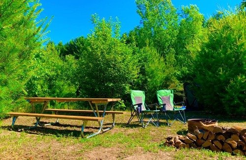 Benzonia Other | BYO Tent or RV to Camp Squid