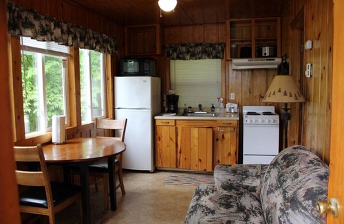Deer River Apartment | Cabin 1 - Cozy cabin 10 feet from the shore