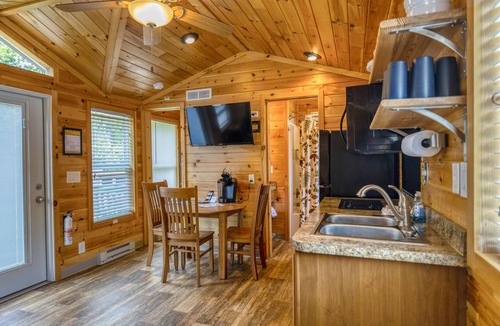 Dickerson Run Cabin | Cabin 5 - Beautiful spacious cabin w/loft and lots of windows! Breathtaking view with facing the river.