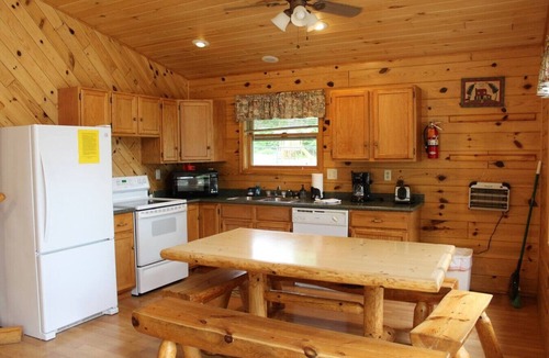 Deer River Apartment | Cabin 5 - Modern Cabin with A/C and lake views - Fully handicap accessible