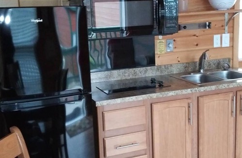 Dickerson Run Cabin | Cabin 6 - Beautiful location with a great view of the river. Perfect for any size family!